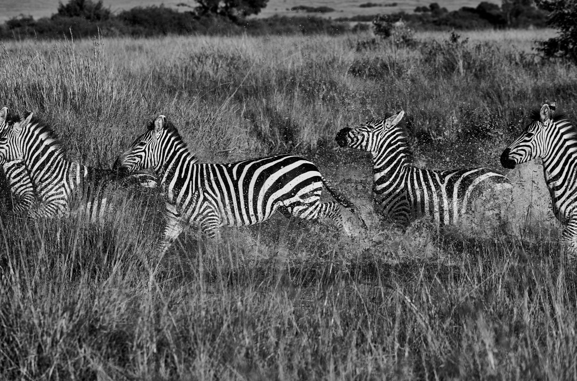 Family Safari 5 days, 6 nights Day 4